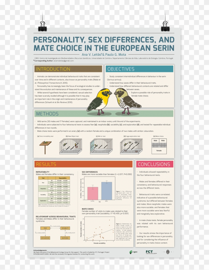 Large Size Of Design Scientific Research Posters Hellip - Free Poster Template Ppt Clipart #5191705