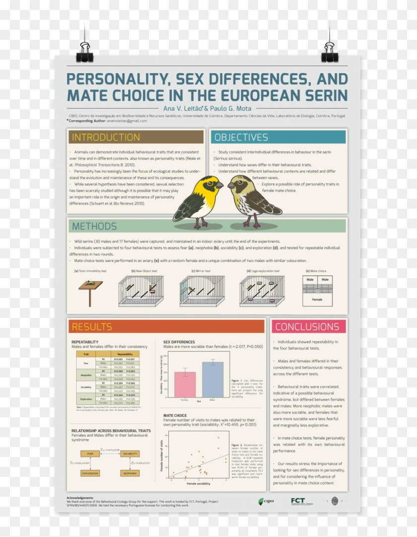 Large Size Of Design Scientific Research Posters Hellip - Free Poster Template Ppt Clipart