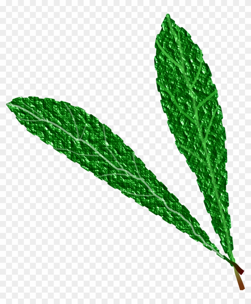 This Free Icons Png Design Of Green Leaves, - Gambar Daun Hijau Background Putih Clipart #5192795