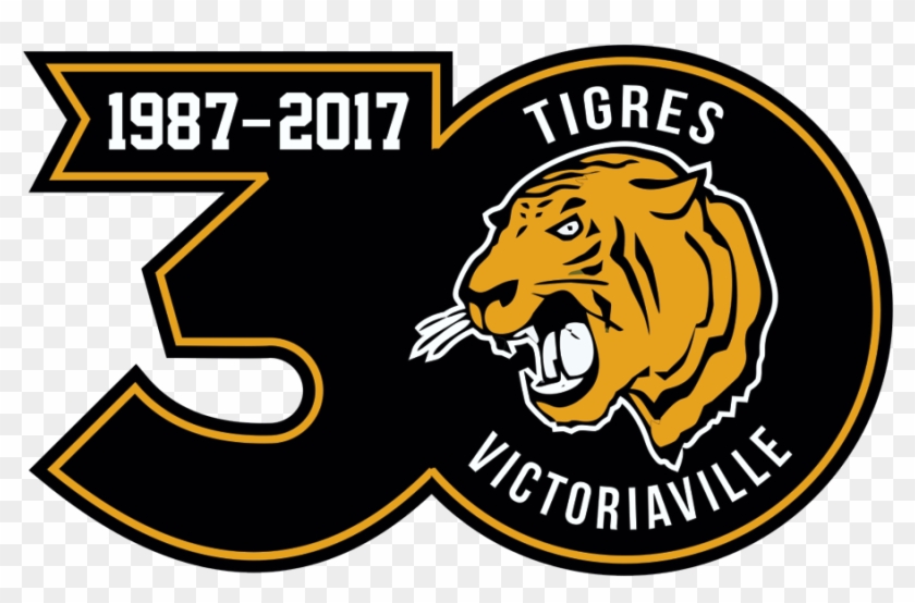 Their 30th Anniversary Logo, I Had To Trace It And - Emblem Clipart