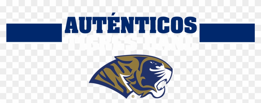 Camiseta Amarilla - Graphic Design Clipart