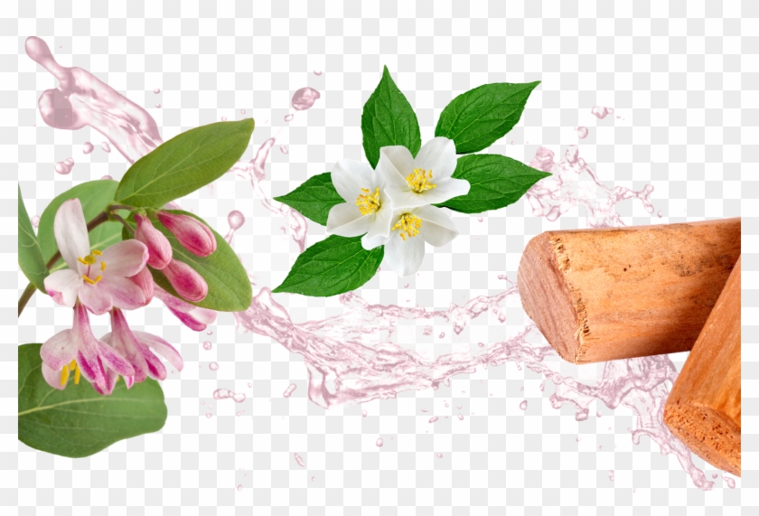 Fresh - Png Background Water Transparent Clipart