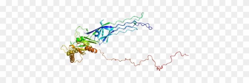 Gtpase Obge/cgta Eom/ranch Model - Map Clipart