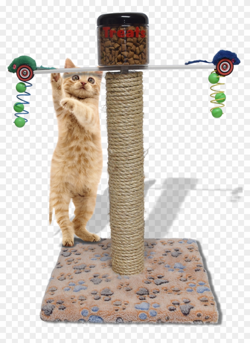 Departments - Cat Clipart
