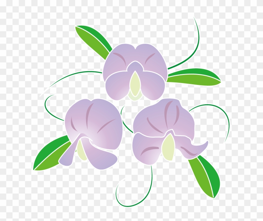 春の花2 06 スイートピーイラスト Clipart Pikpng