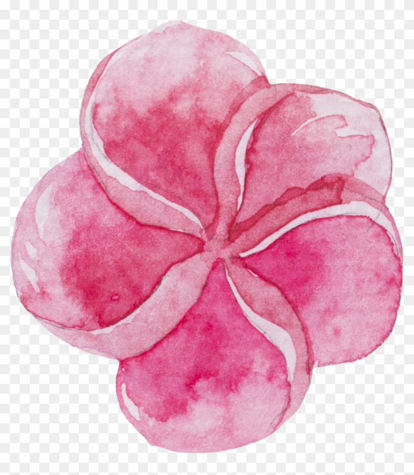 Watercolour Watercolor Sticker Ftestickers Flowers - Sweet Pea Clipart #5196299