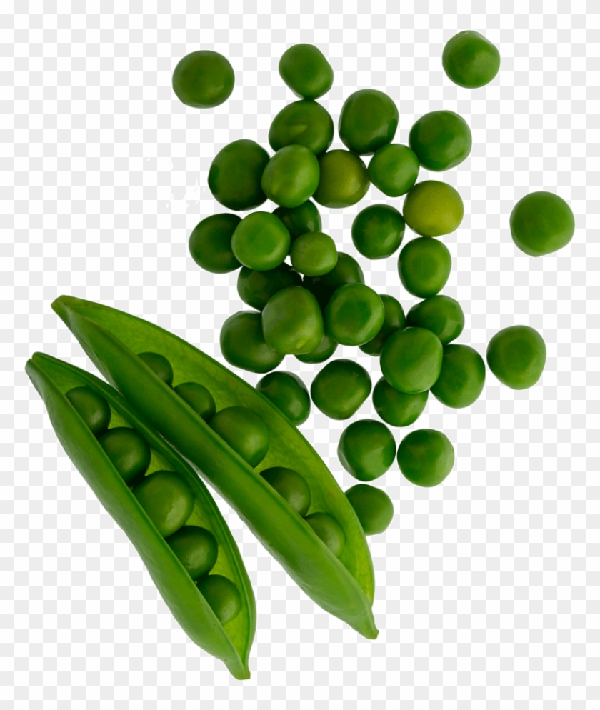 001 Mambo Product Images Peas Tilted Web Copy - Snow Peas Clipart #5196701