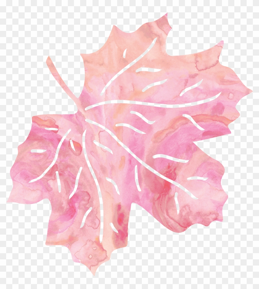Leaf Pink Petal - Maple Leaf Clipart #5197151