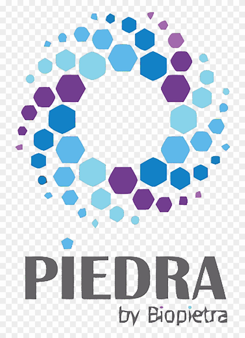Logo Piedra 1 - Circle Clipart