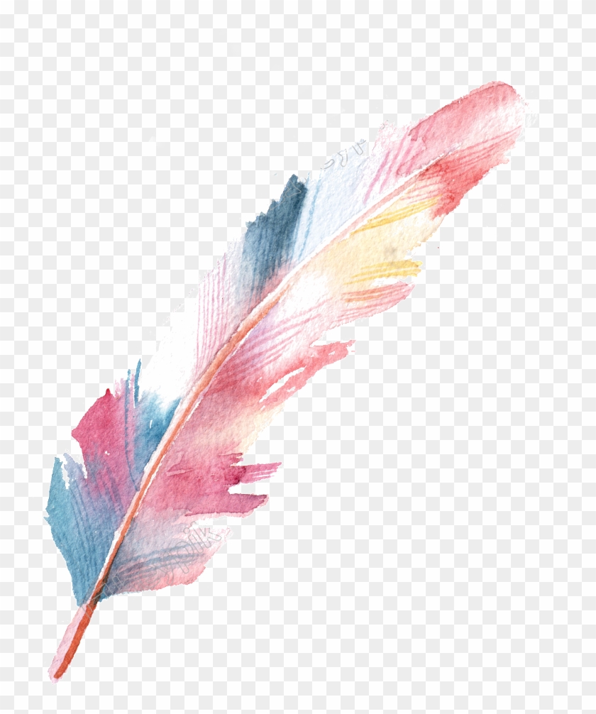 Pluma Png - Watercolor Painting Clipart