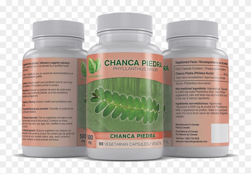 Chanca Piedra “kidney Stone Crusher” - Chanca Piedra -kidney Stone Crusher Clipart #5197876