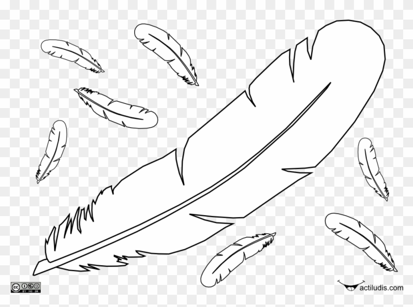 Plumas - Plumas Para Dibujar Faciles Clipart