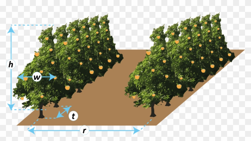 Tree Spacing Enter Value (admit Decimals) R - Christmas Tree Clipart