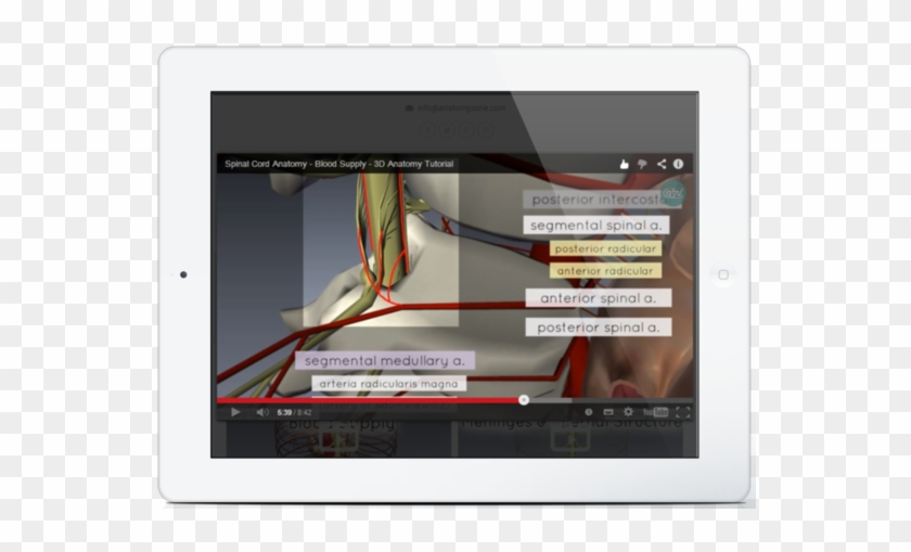 Ipad Screen Shot 3 - Electronics Clipart #5198638