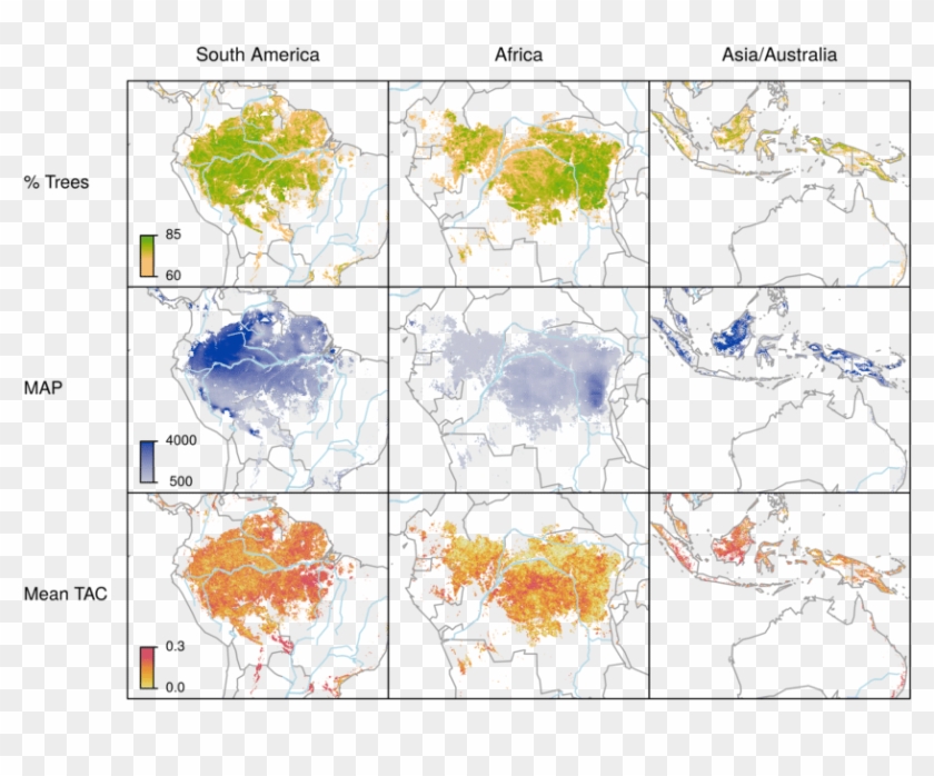 Distribution Of Tropical Forests In 2010 , Mean - Atlas Clipart #5198671