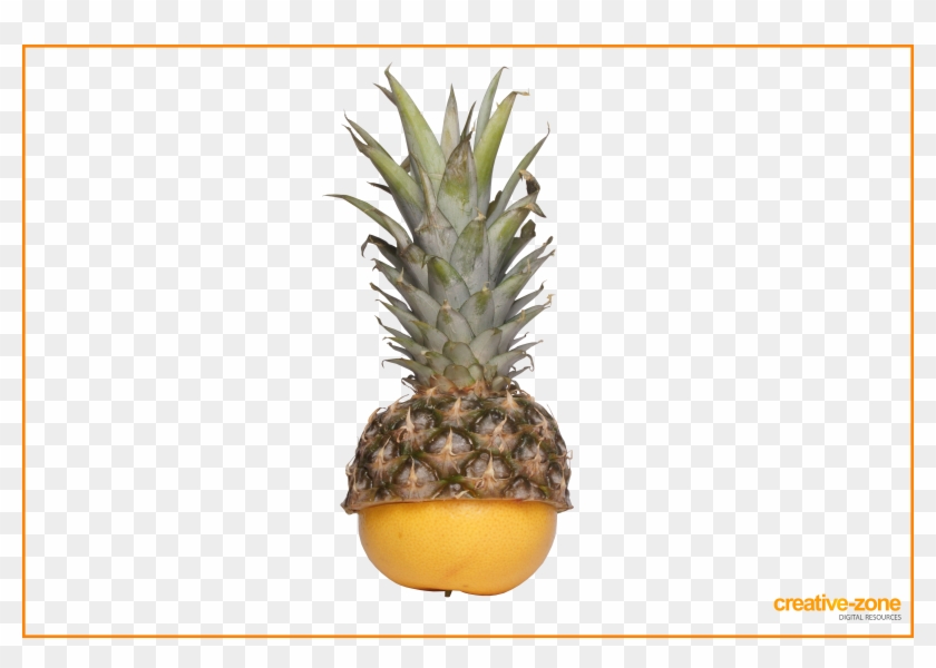 Pineapple Clipart #5198793