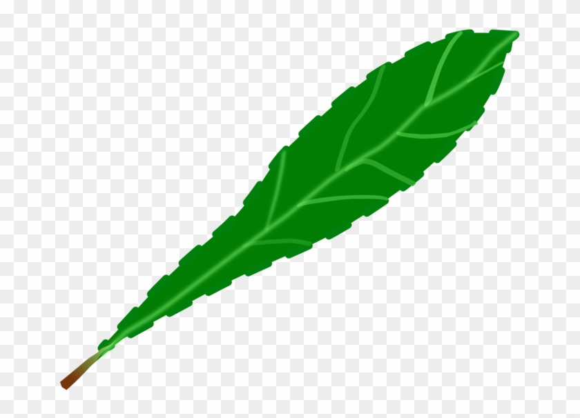 Drawing Leaf Computer Icons Green Watercolor Painting - Watercolor Painting Clipart