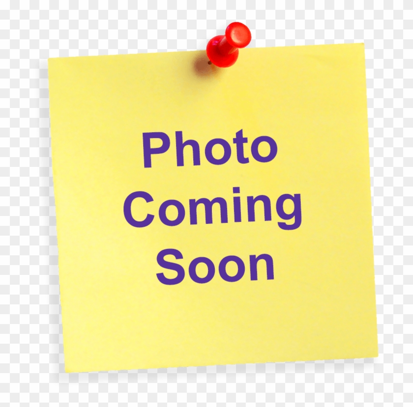 White 4 Ply Ultra Ostrich Feather Boas With Silver - Paper Clipart #5199784