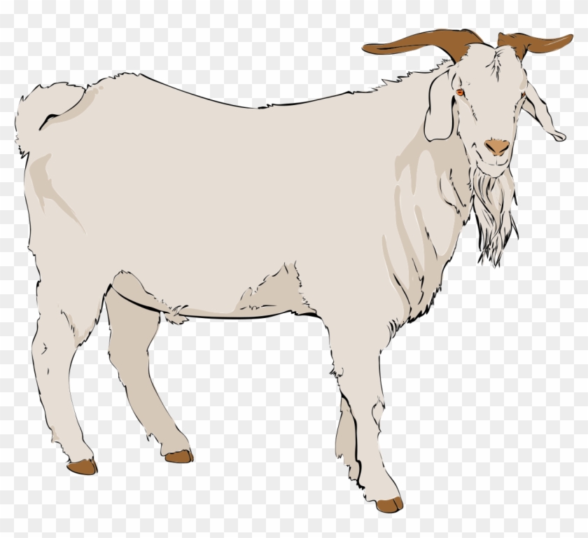 Goat Clipart - Goat Clipart Png Transparent Png #520233