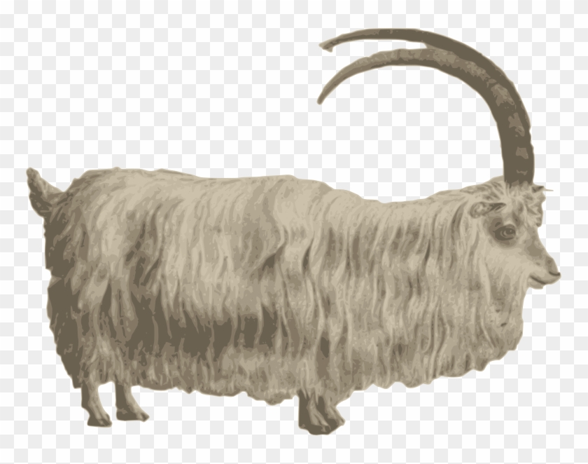 Medium Image - Mountain Goat Png Clipart