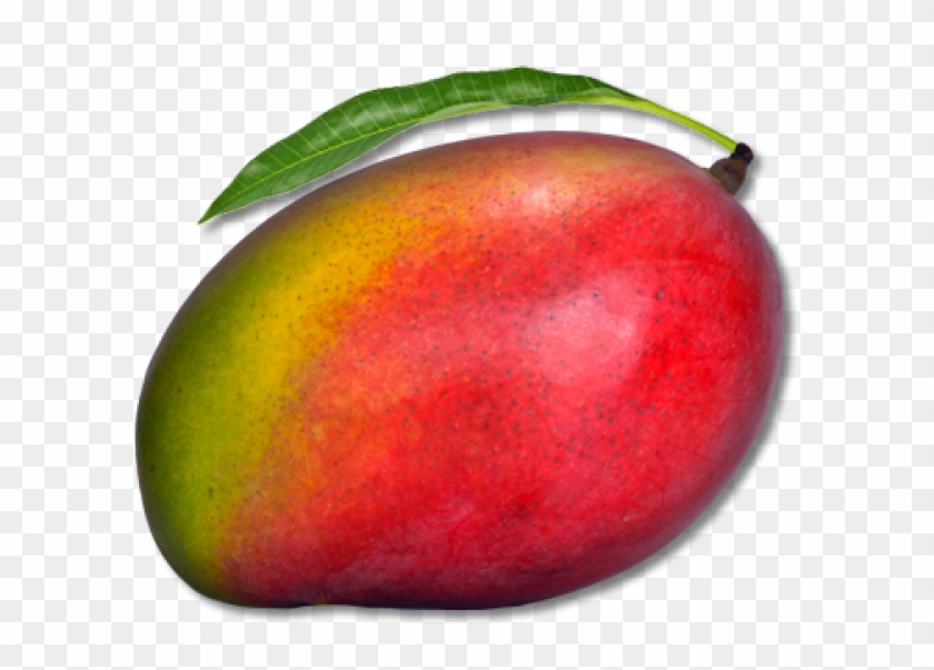 Mango Png Free Download - Png Image Of Mango Clipart #522053