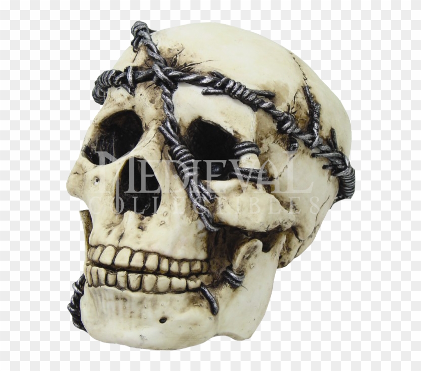 Skull And Barbed Wire Clipart
