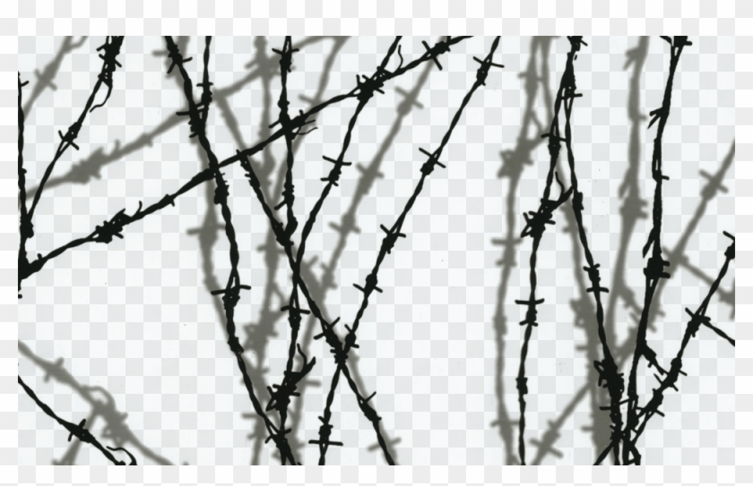 Shadow Barbed Wire Ll-209 - Barb Wire Clipart