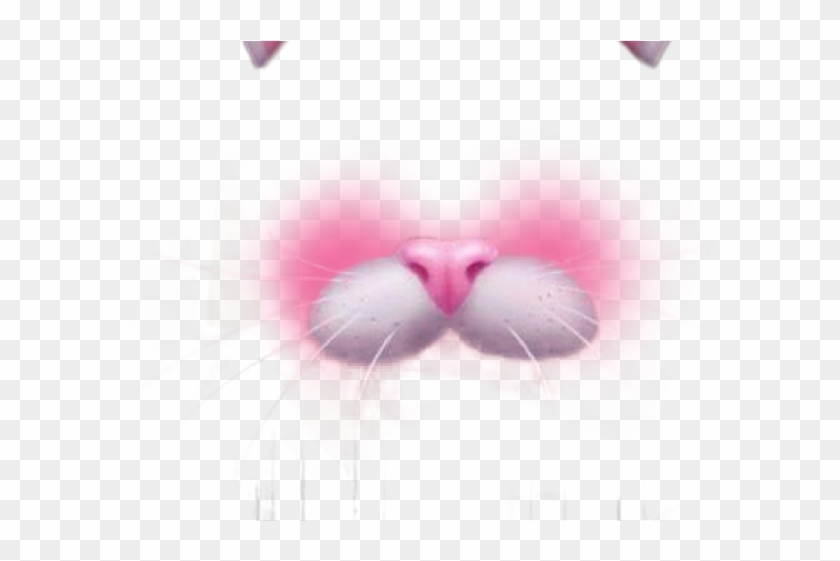 Snapchat Clipart Transparent Background - Filter Snow Cat - Png Download #522863