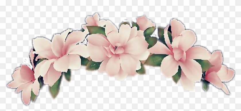 Snapchat Flower Crown Transparent - Pink Flower Crown Png Clipart