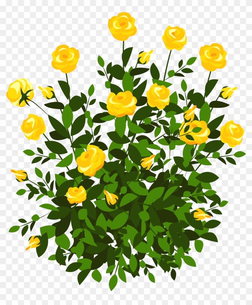 Yellow Rose Bush Png Clipart Picture - Yellow Rose Bush Png Transparent Png #524477