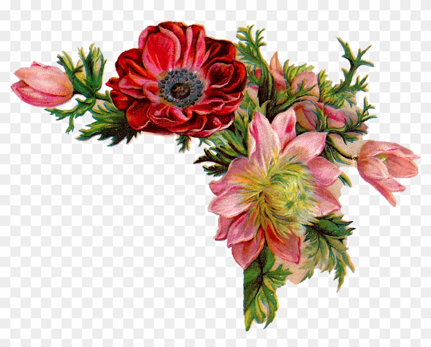 Flower Illustration Png - Flowers Vintage Illustration Png Clipart