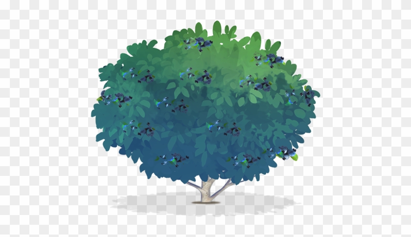 600 X 535 7 - Blueberry Tree Png Clipart #524795
