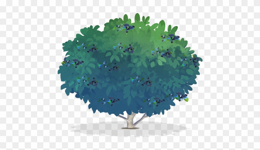600 X 535 7 - Blueberry Tree Png Clipart
