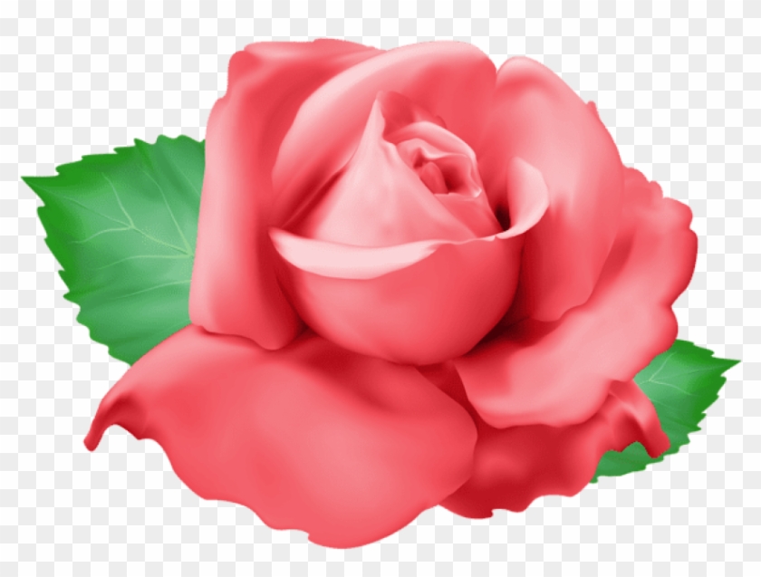 Free Png Download Red Rose Png Png Images Background - Portable Network Graphics Clipart