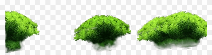 Parallax-plants - Grass Clipart