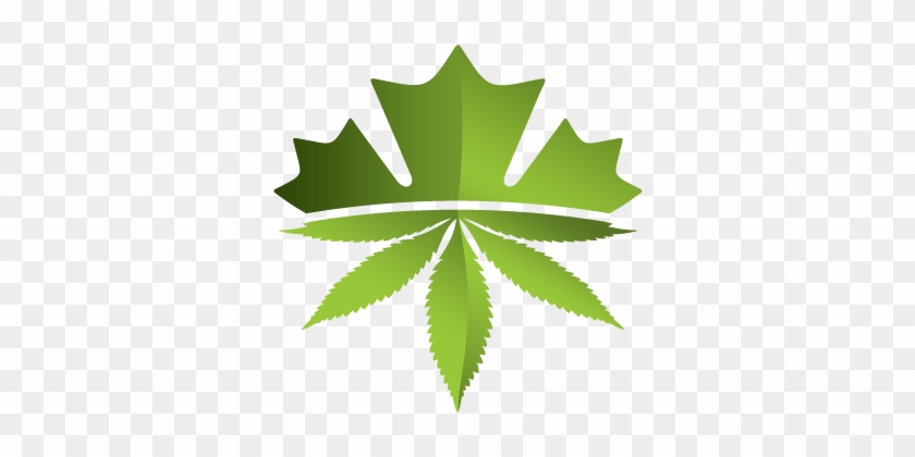 Leaf - Benchmark Botanics Inc Logo Clipart