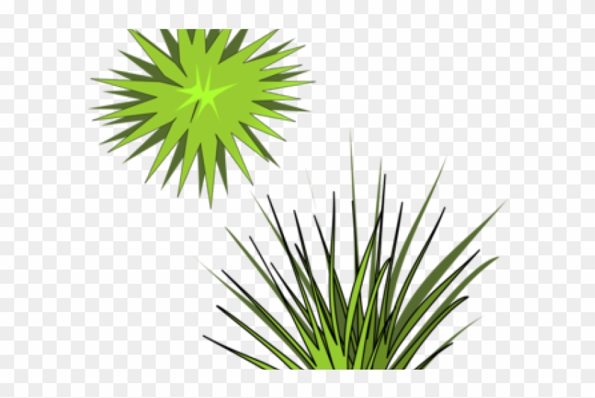 Shrub Bushes Clipart Plant Shoot - Grass - Png Download