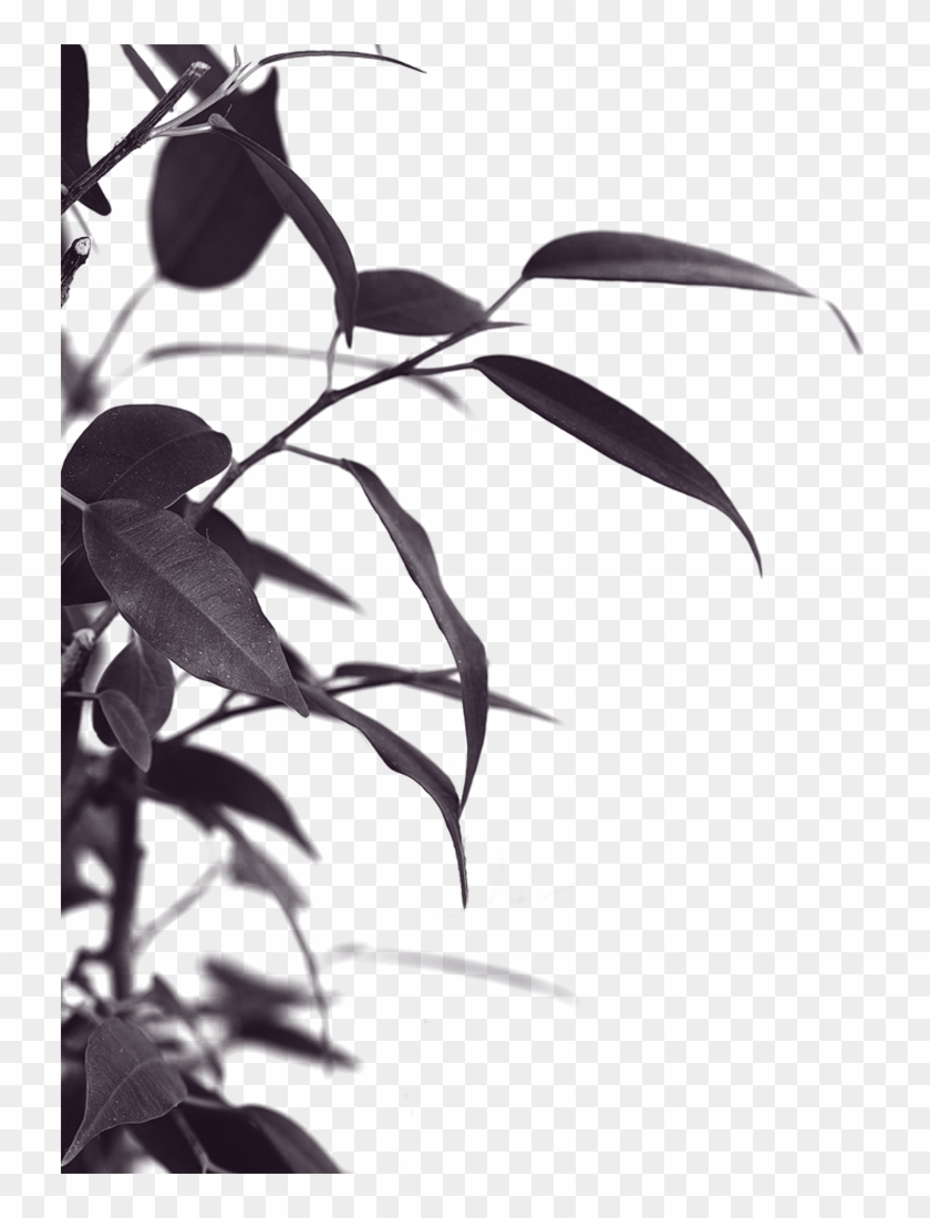 Haunt Sign - Monochrome Clipart