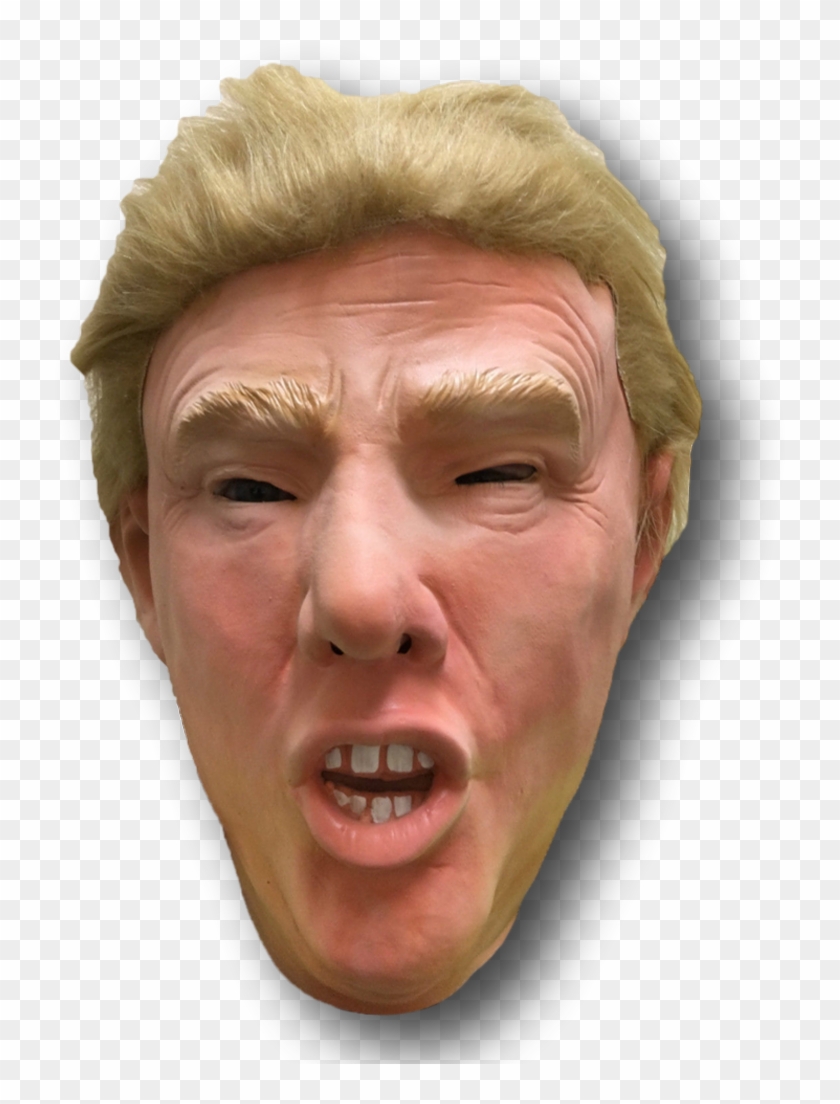 Donald Trump Png Head - Visual Arts Clipart