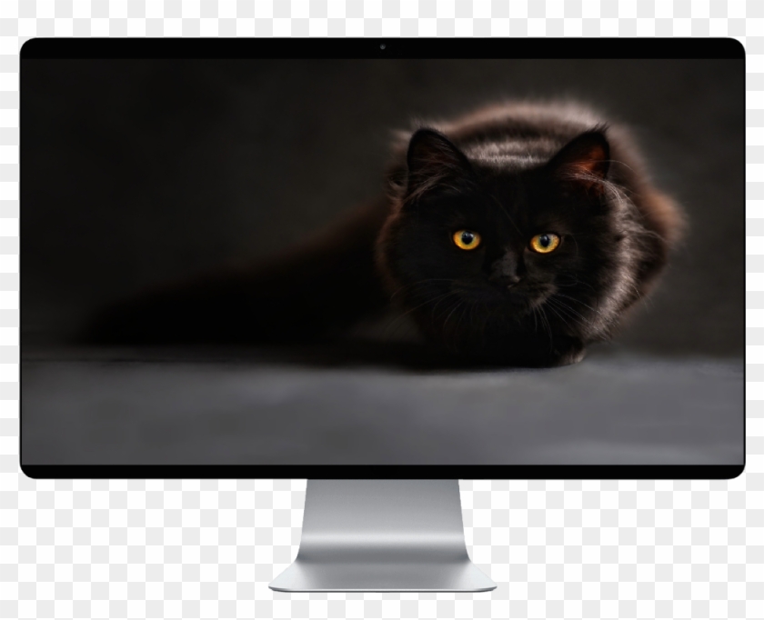Score 50% - Hd Pc Wallpaper Black Cat Clipart #525822