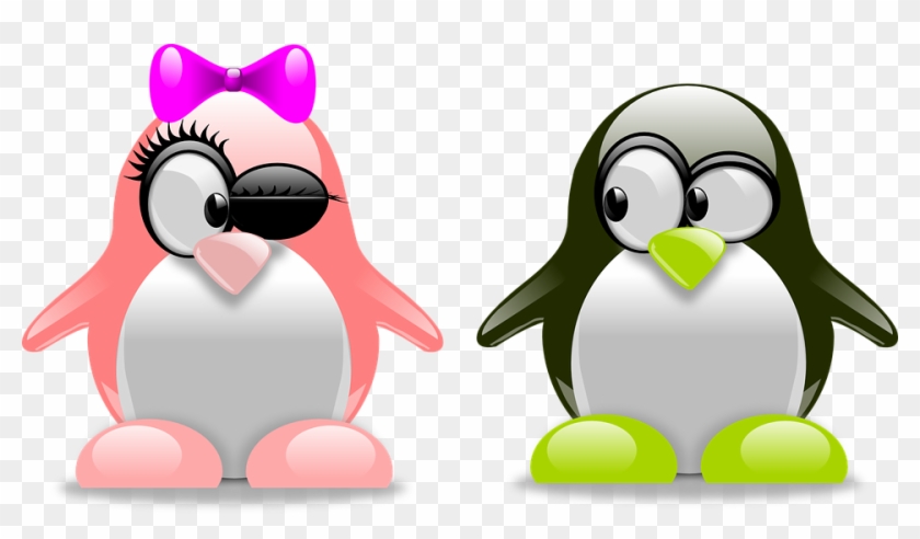 Download Penguins Png Transparent Images Transparent - Cool Penguin Clip Art