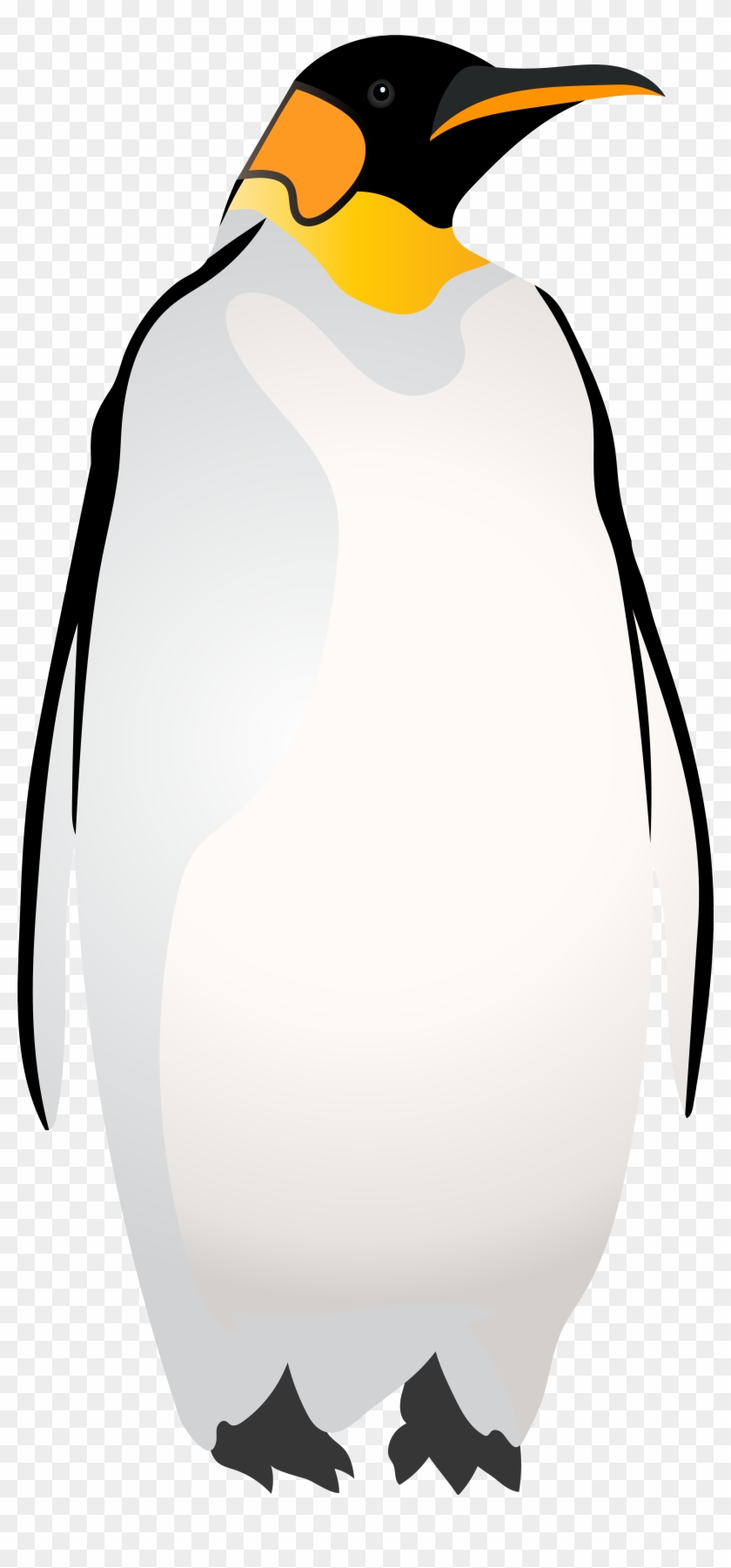 Emperor Penguin Png Clip Art - Illustration Transparent Png