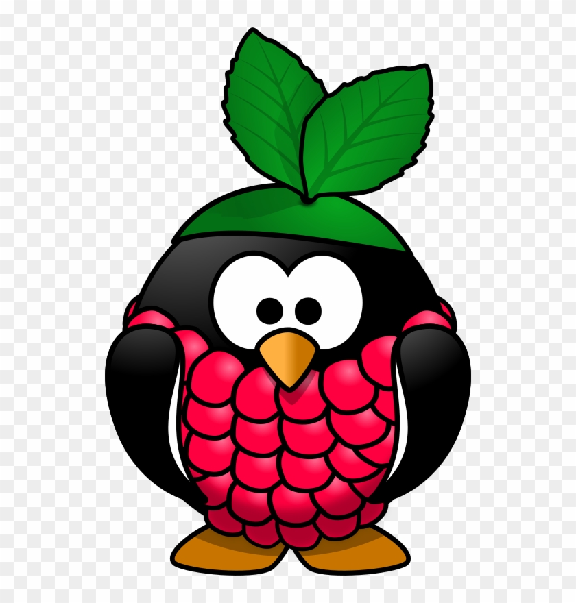 Medium Image - Raspberry Pi Cartoon Clipart