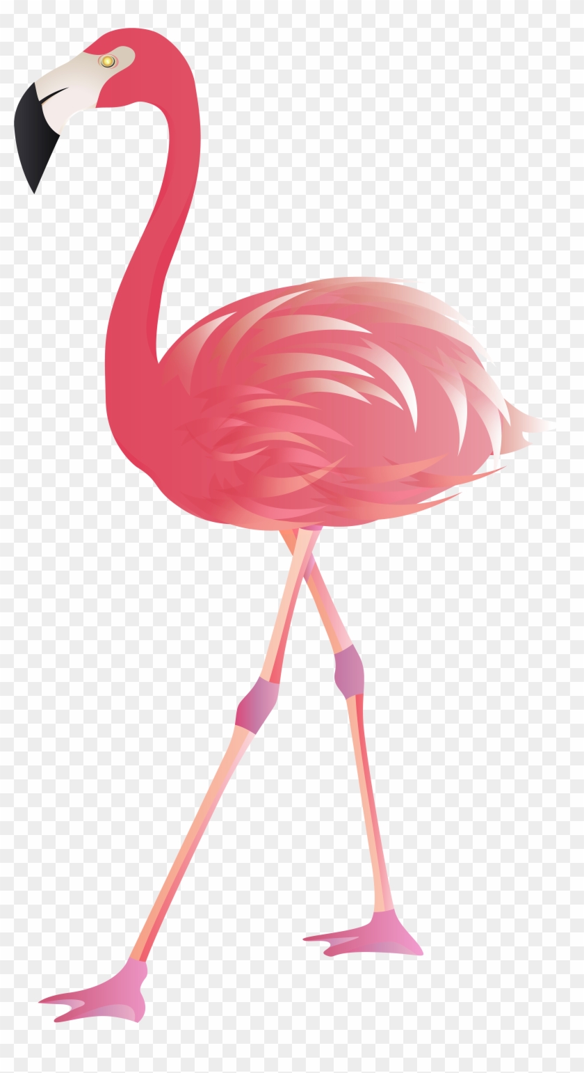 Flamingo Png Clip Art Image - Clip Art Flamingo Png Transparent Png #527183