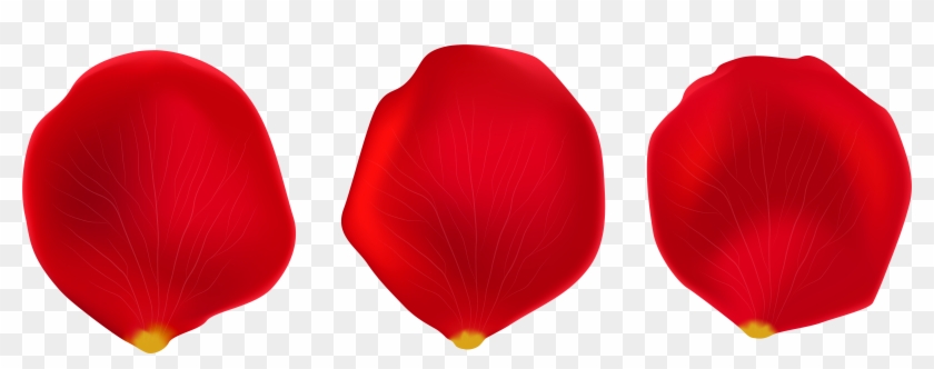 Rose Petals Transparent Png Clip Art - Rose Petal Transparent Png
