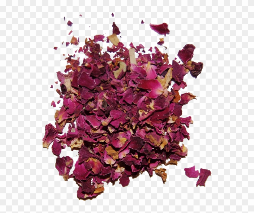 Red Rose Petals Clipart #527578