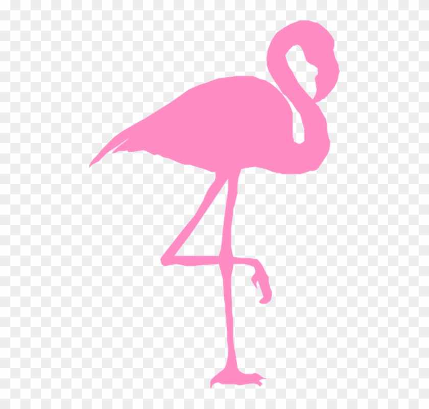 Flamingo With Crown Png Library Download - Clip Art Flamingo Transparent Png #527637