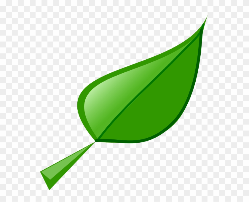 Leaf 2 Png Images Clipart
