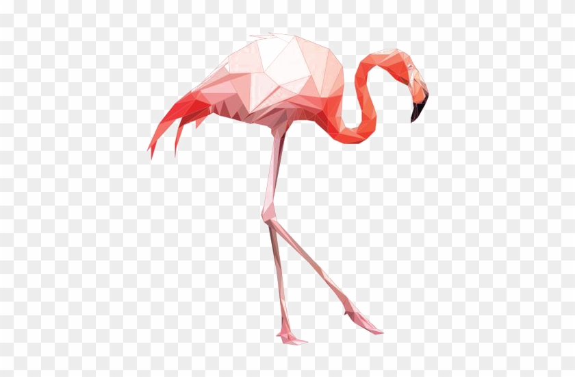 564 X 704 5 - Pink Flamingo High Res Clipart