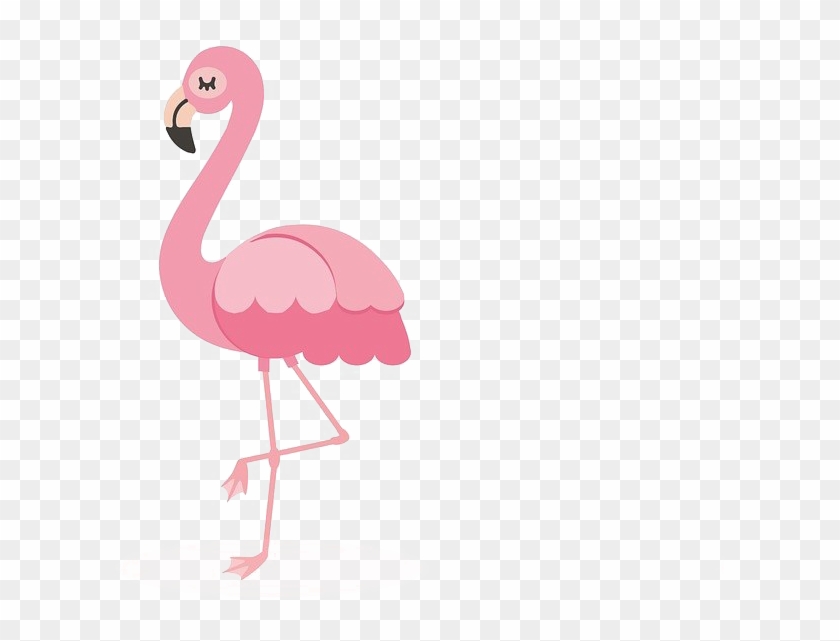 Flamingo Png Pic Flamingo Png Clipart 527760 Pikpng